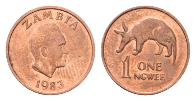 Замбия 1 нгве 1983 KM 9a сталь плакированная медью UNC 4640-621