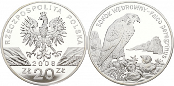 Польша 20 злотых 2008 серия всемирная природа, сапсан KM 637 серебро PROOF 1091-2-23