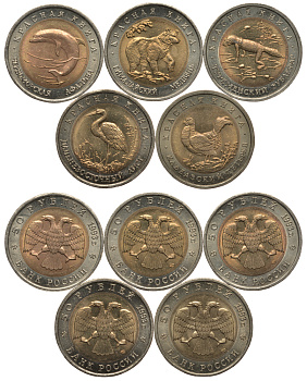 Россия лот из 5 монет по 50 рублей 1993 серия Красная книга, гималайский медведь, туркменский зублефар, кавказский тетерев, дальневосточный аист, черноморская афалина KM 330, 331, 332, 333, 334 биметалл UNC N4-43