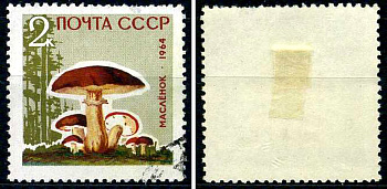СССР марка 2 копейки 1964 грибы - масленок Загорский 3036 почтовое гашение 8699-9-2-1