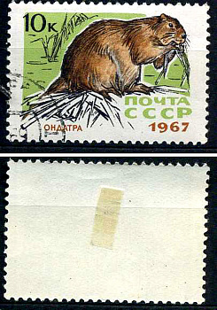 СССР марка 10 копеек 1967 пушные звери - ондатра Загорский 3445 почтовое гашение 8699-13-7-2