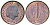 Нидерланды 1 цент 1980 Юлиана (1949-1980) KM 180 бронза UNC 220-519
