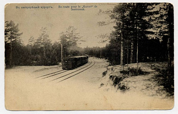 В СЕСТРОРЕЦКИЙ КУРОРТ ПАРОВОЗ В ЛЕСУ 1903 153-10-21