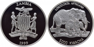 Замбия 5000 квача 1999 Африканские слоны KM 92 серебро PROOF 01-107-43