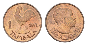 Малави 1 тамбала 1971 KM 7 бронза UNC 4655-117