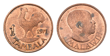 Малави 1 тамбала 1971 KM 7 бронза aUNC 4655-122