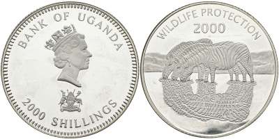 Уганда 2000 шиллингов 2000 серия защита дикой природы, зебры, тираж 5000 экз. KM 73 серебро PROOF 1098-3-12