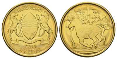 Ботсвана 1 пула 2013 KM 35 сталь плакированная латунью UNC 4670-1033