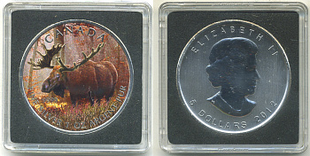Канада 5 долларов 2012 серия Животный мир Канады, лось, в оригинальной коробке с сертификатом тираж 5000 экз., цветная эмаль серебро UNC 5-5-1-12