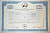 США, Cape Cod Bank and Trust company 12 акций 1993 бумага 8805-32-1