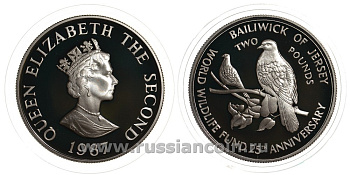 Джерси 2 фунта 1987 серия 25 лет защиты окружающей среды, голуби KM 70a серебро PROOF 02-056-21