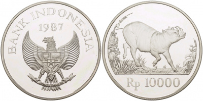 ИНДОНЕЗИЯ 10000 РУПИЙ 1987 СЕРИЯ 25 ЛЕТ ЗАЩИТЕ ОКРУЖАЮЩЕЙ СРЕДЫ, БОРОДАВОЧНИК KM 45 серебро PROOF 1068-6-13